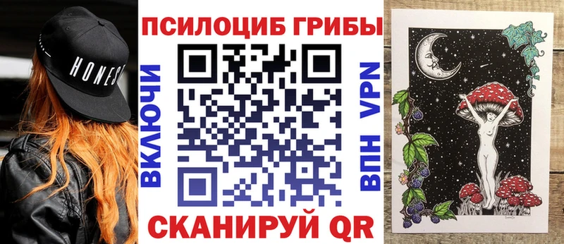 Галлюциногенные грибы Psilocybine cubensis  Пласт 
